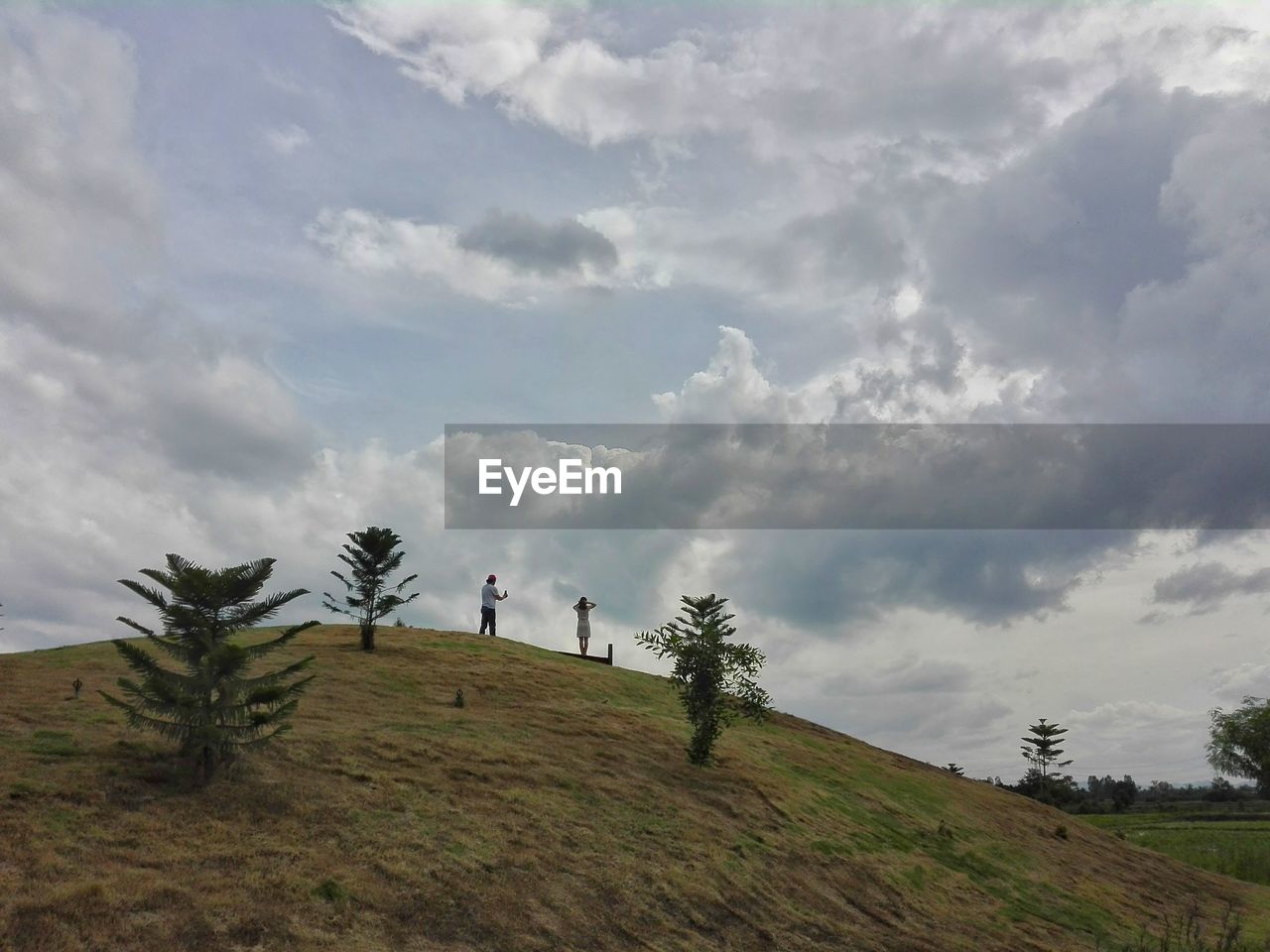 SCENIC VIEW OF TREES ON FIELD AGAINST SKY