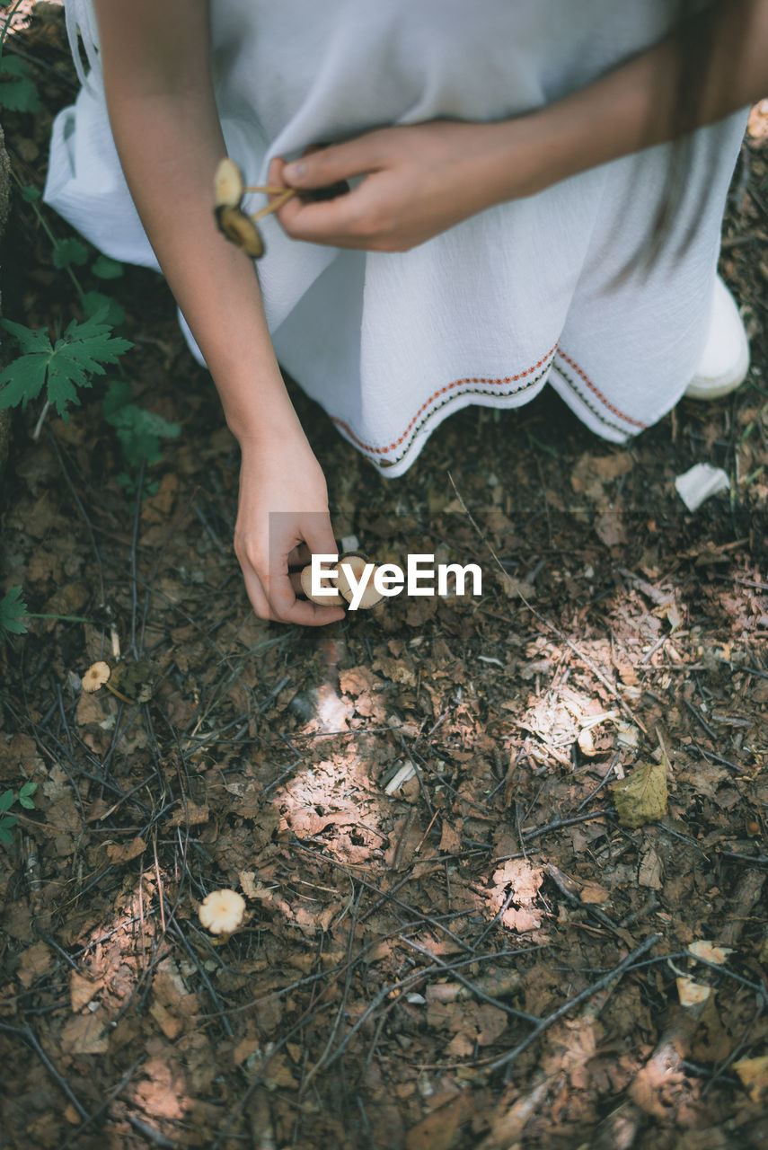 Low section of woman holding mushroom on field