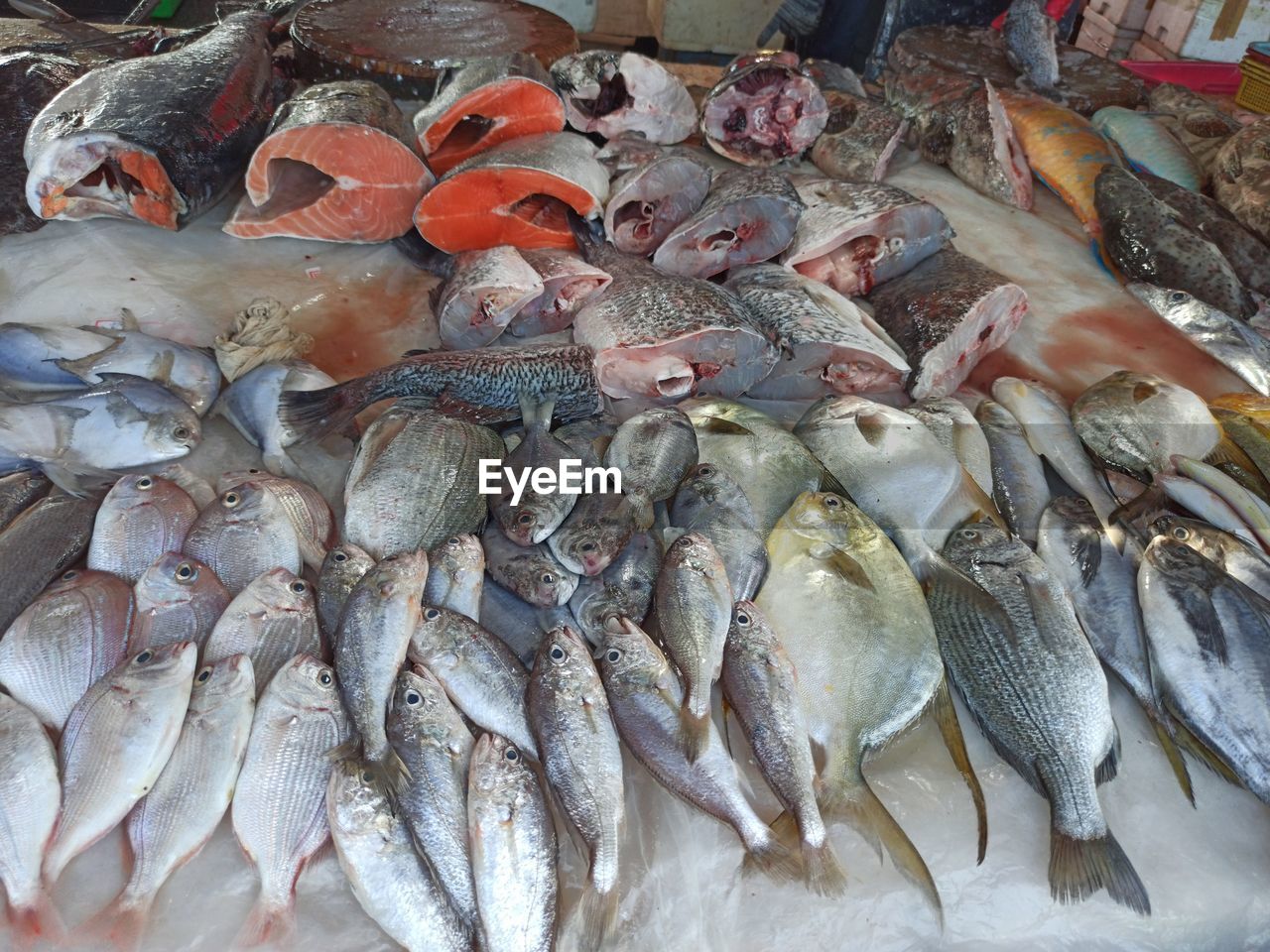 HIGH ANGLE VIEW OF FISH IN MARKET FOR SALE