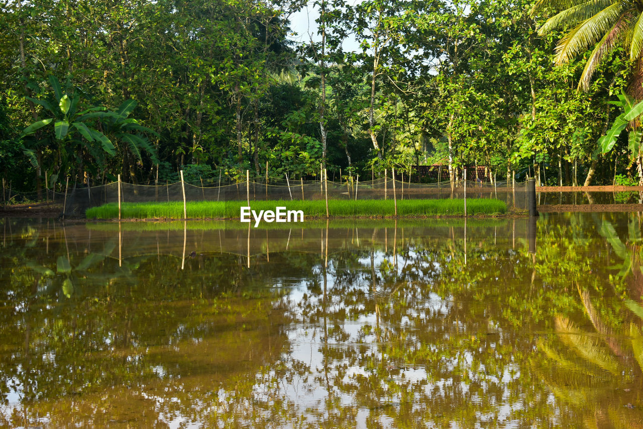 SCENIC VIEW OF LAKE