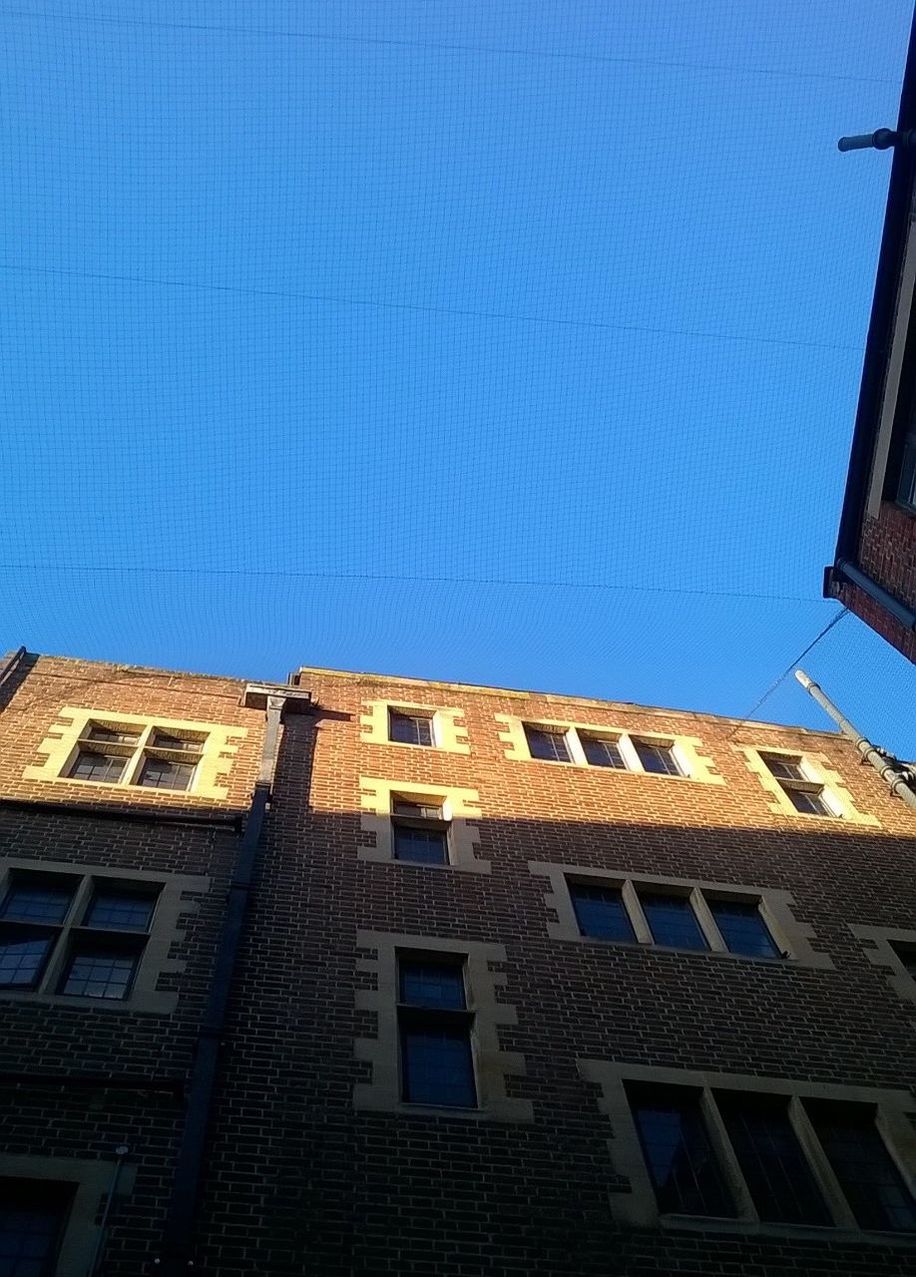 LOW ANGLE VIEW OF BUILDINGS AGAINST BLUE SKY