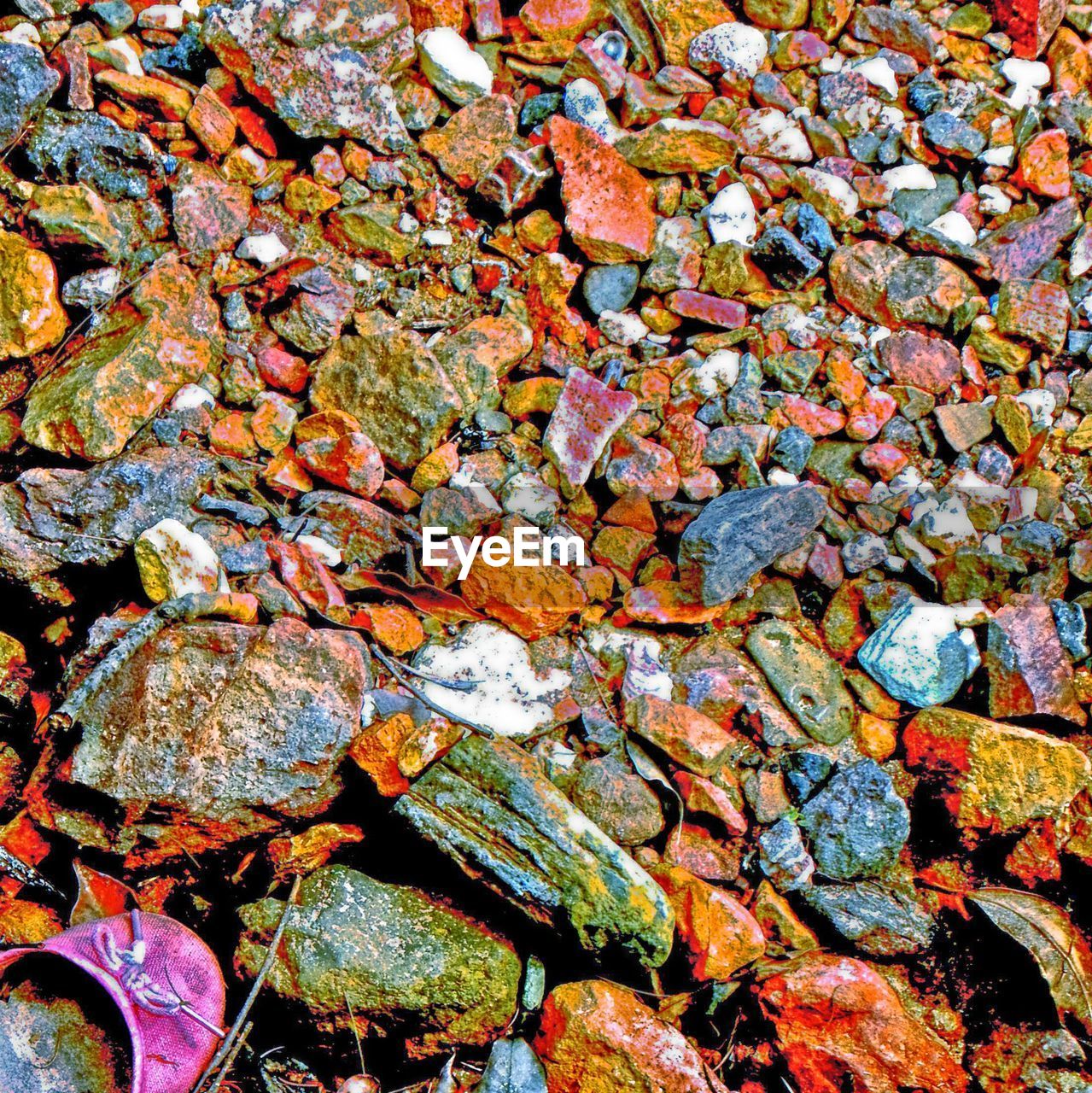 FULL FRAME SHOT OF AUTUMN LEAVES IN FOREST