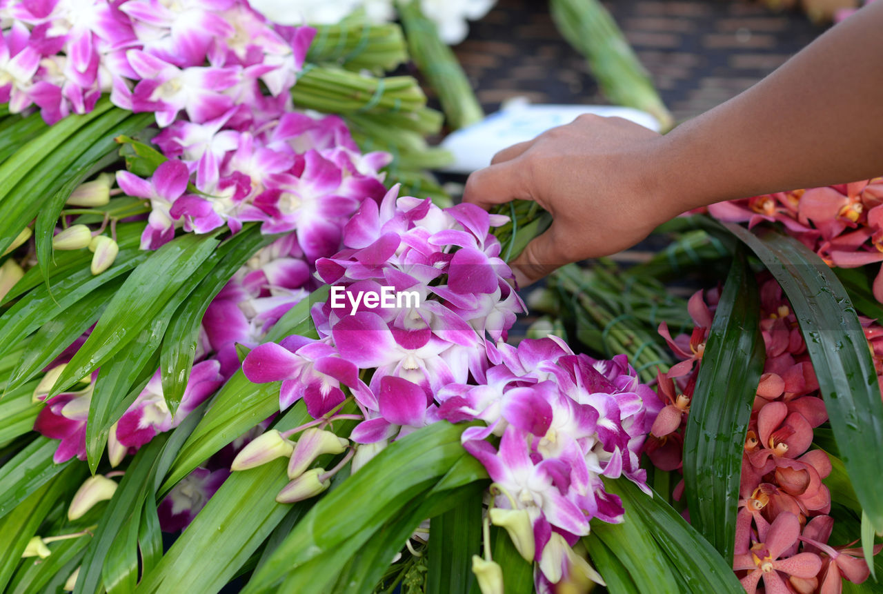 A woman's hand holding a bouquet of fresh pink and white orchid flowers