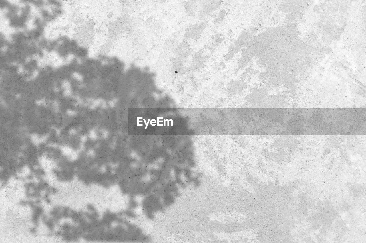 HIGH ANGLE VIEW OF SHADOW ON SNOW COVERED FIELD