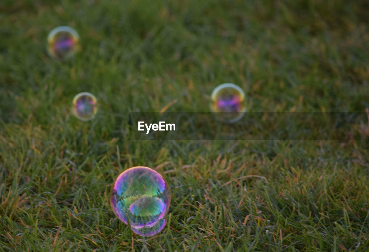 VIEW OF BUBBLES ON GRASSY FIELD