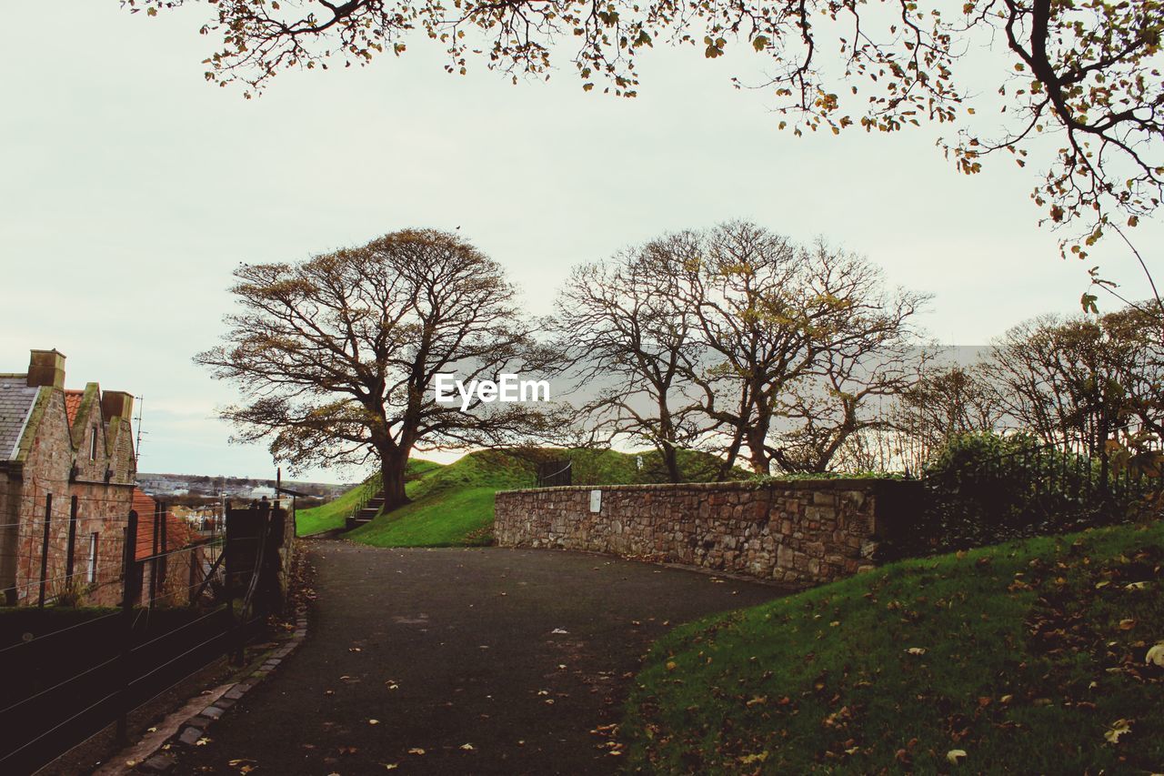 FOOTPATH LEADING TOWARDS BARE TREES