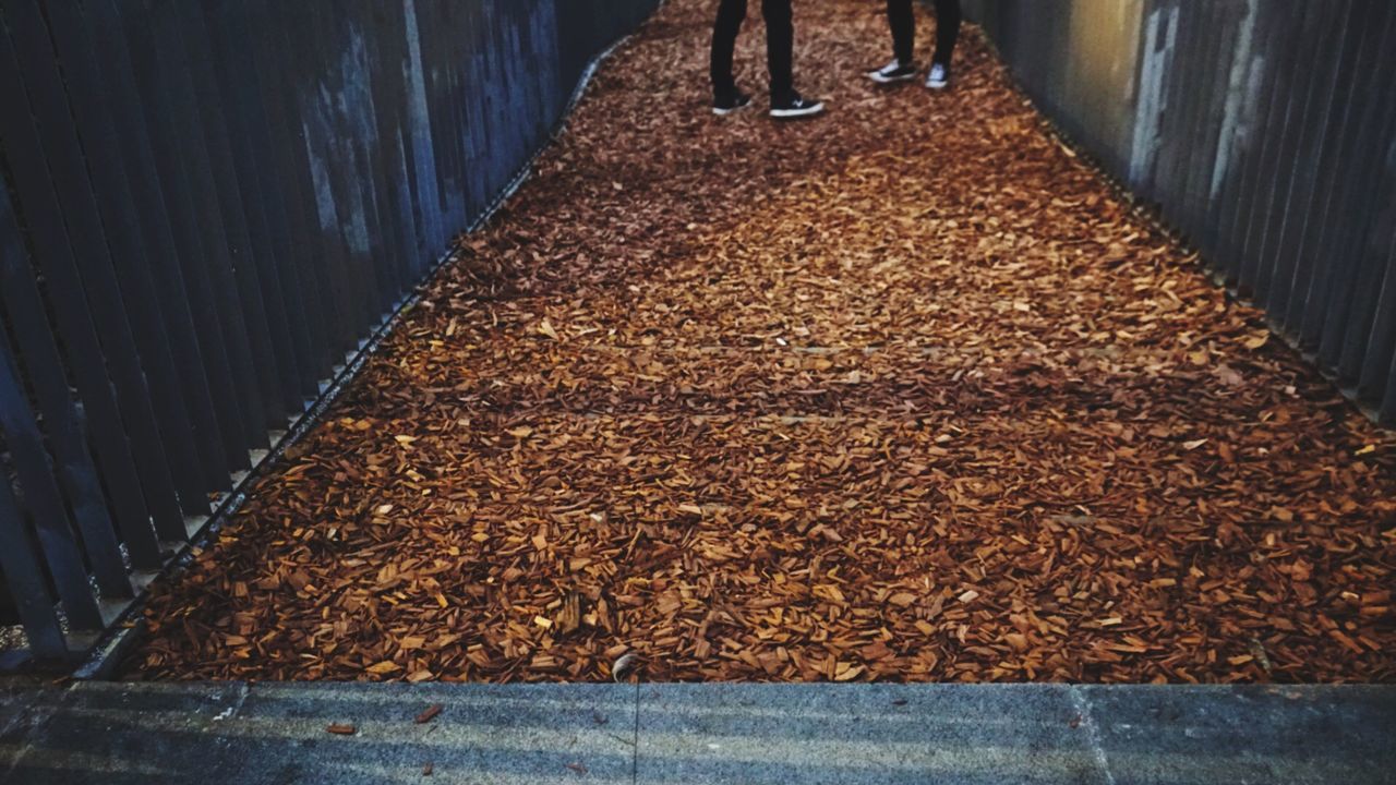 Low section of couple on footpath amidst fence in park