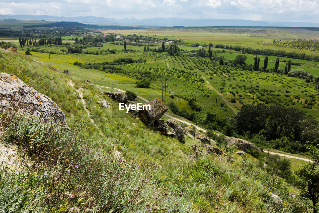 HIGH ANGLE VIEW OF AGRICULTURAL LANDSCAPE