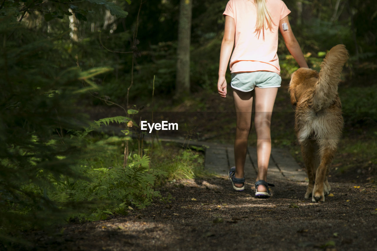 Rear view of woman walking in forest