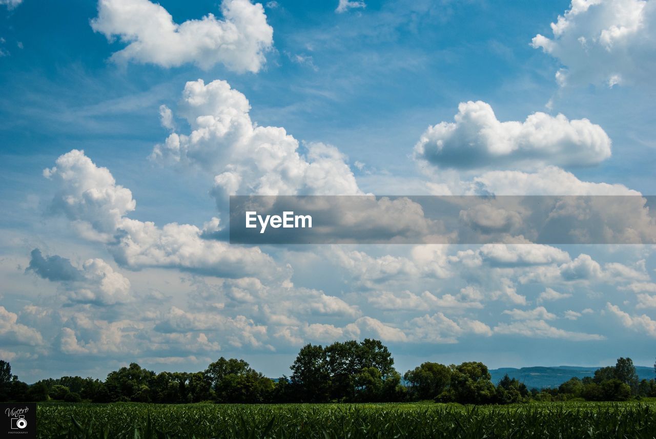 SCENIC VIEW OF LAND AGAINST SKY