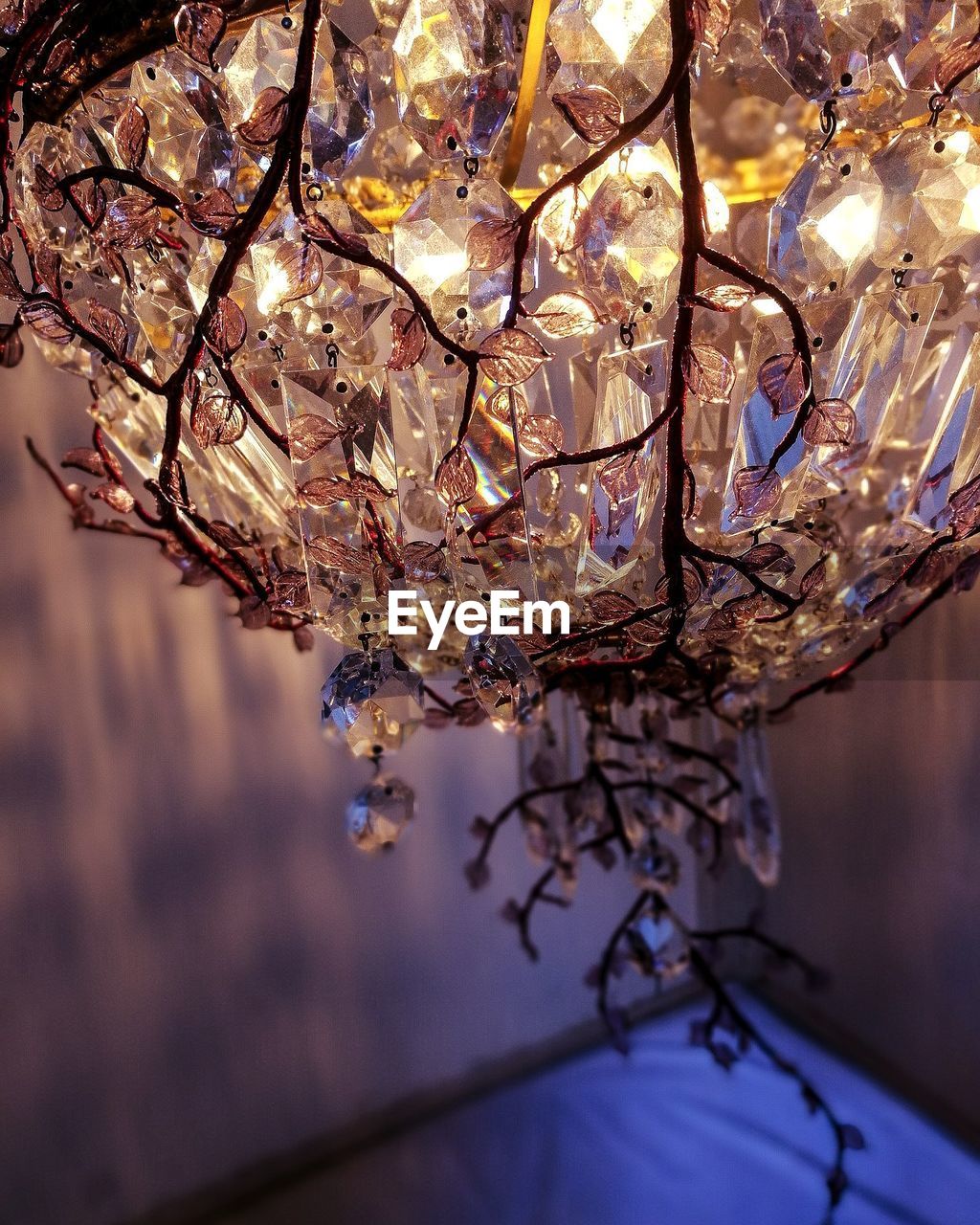 LOW ANGLE VIEW OF CHANDELIER HANGING FROM TREE