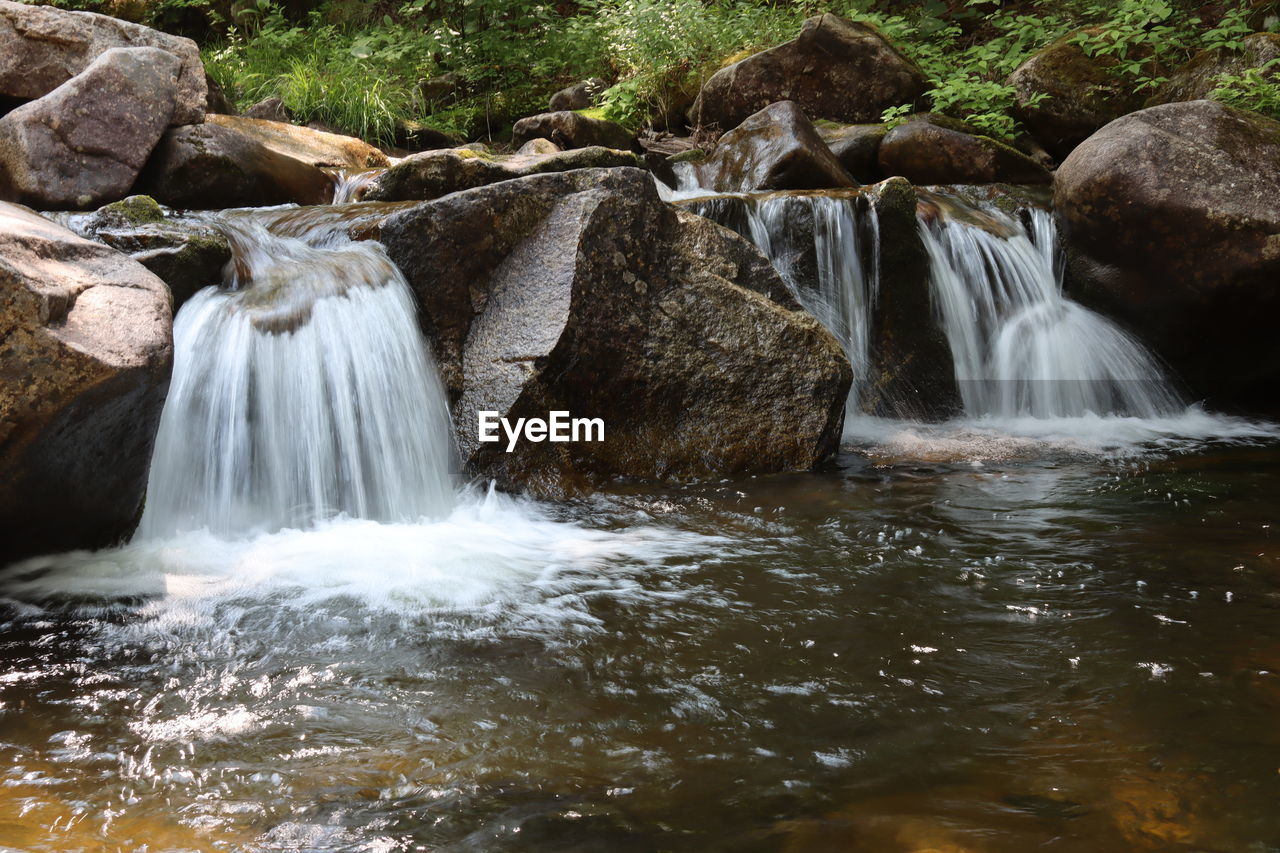 Scenic view of waterfall in forest