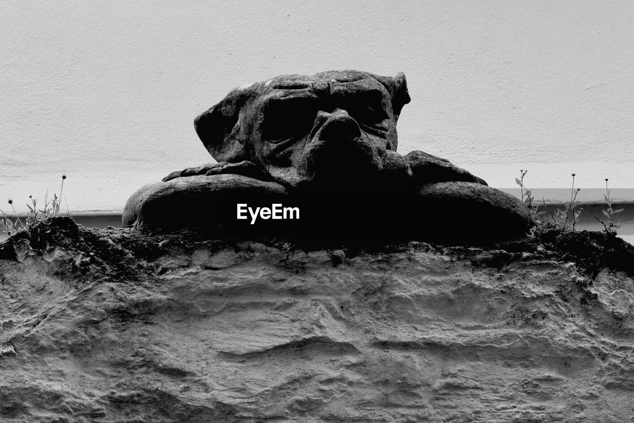Close-up of waves splashing on dog-shaped rock