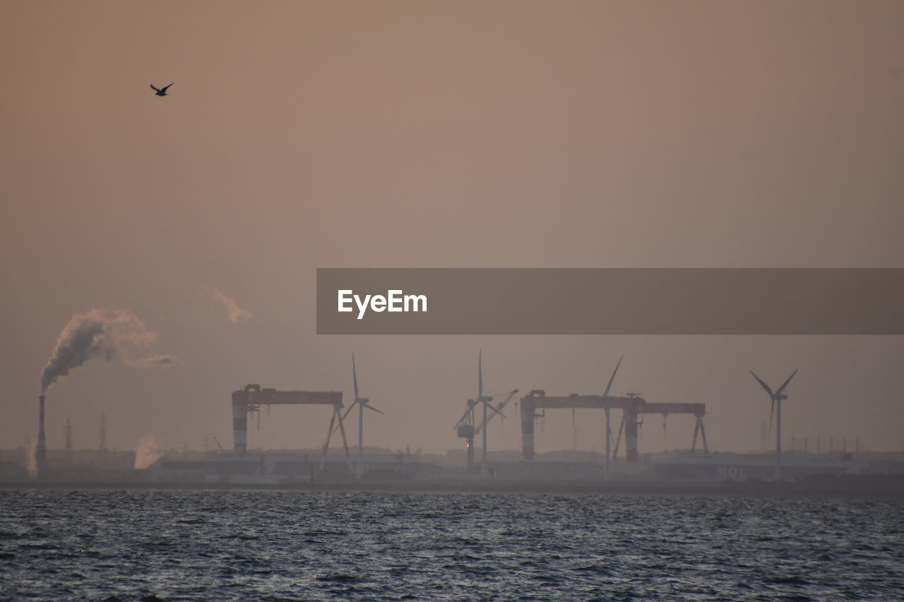 SILHOUETTE OF BIRDS FLYING OVER WATER