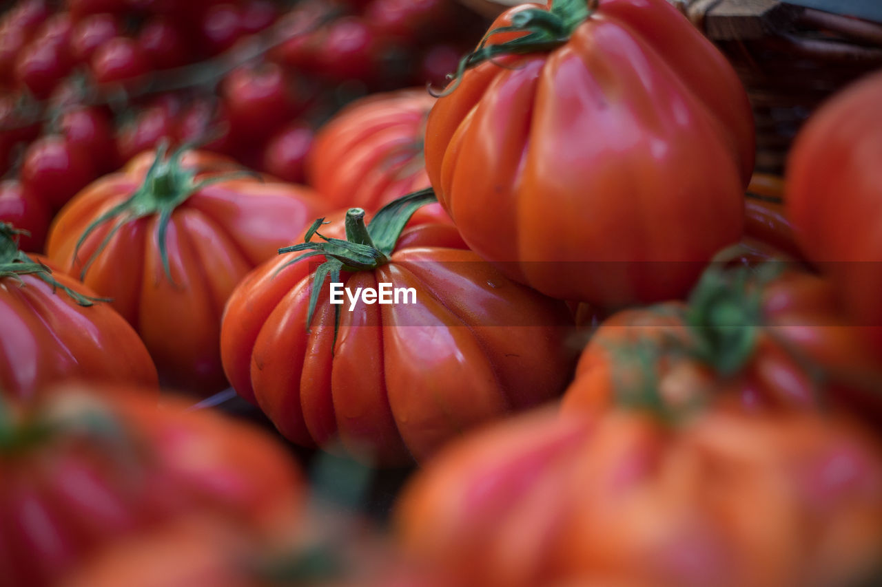 Close-up of tomatoes