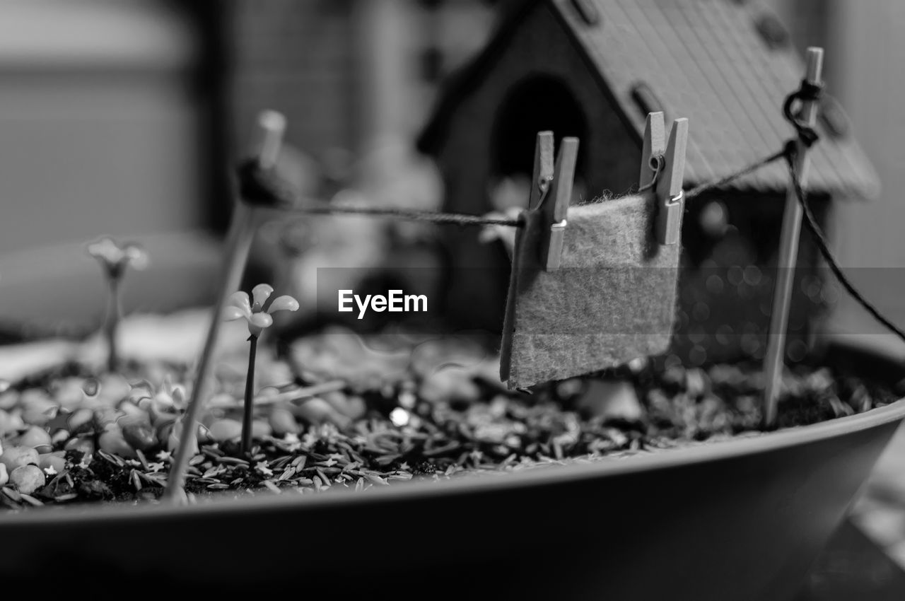 Close-up of model house in bucket