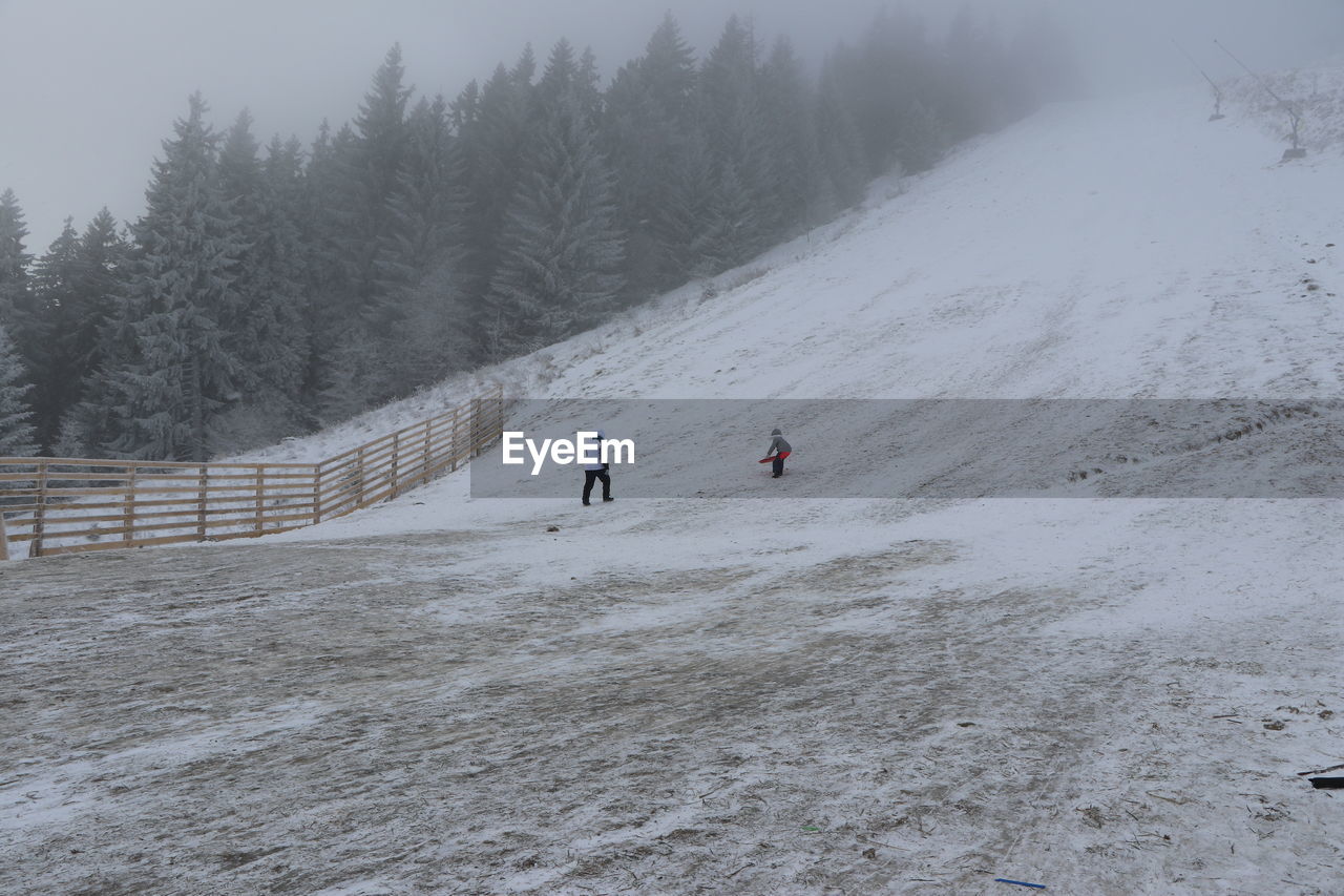 Rear view of people on snow covered land