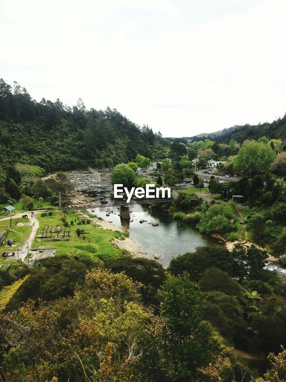 River amidst trees in forest against sky