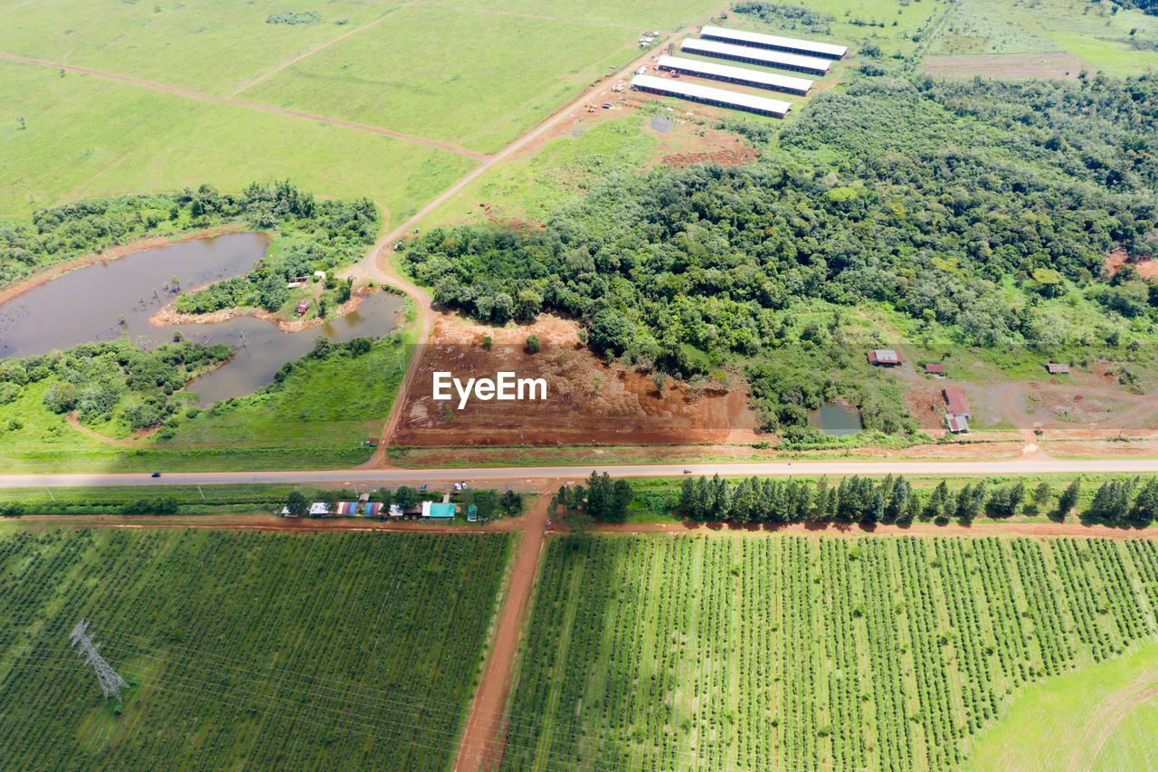 SCENIC VIEW OF AGRICULTURAL LANDSCAPE