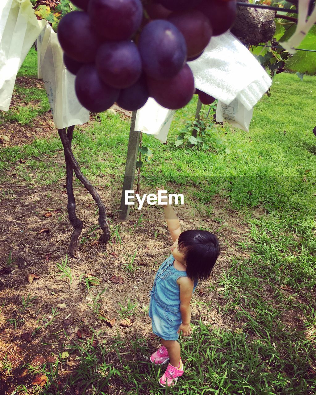 REAR VIEW OF GIRL HOLDING BALLOONS