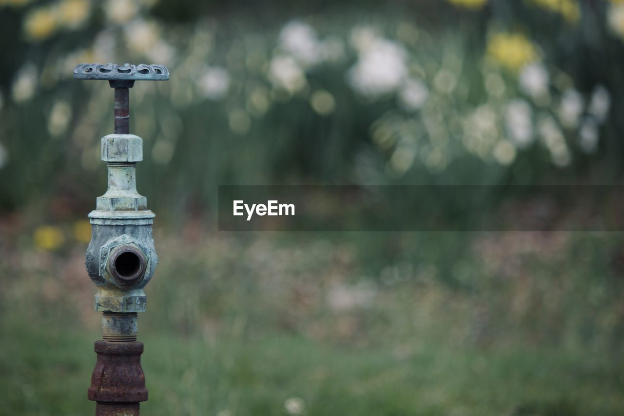 CLOSE-UP OF FIRE HYDRANT AT PARK