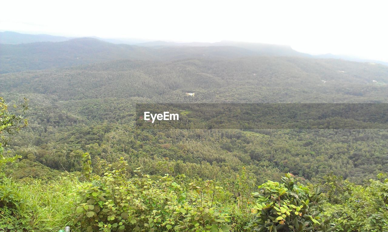 SCENIC VIEW OF GREEN LANDSCAPE AGAINST SKY