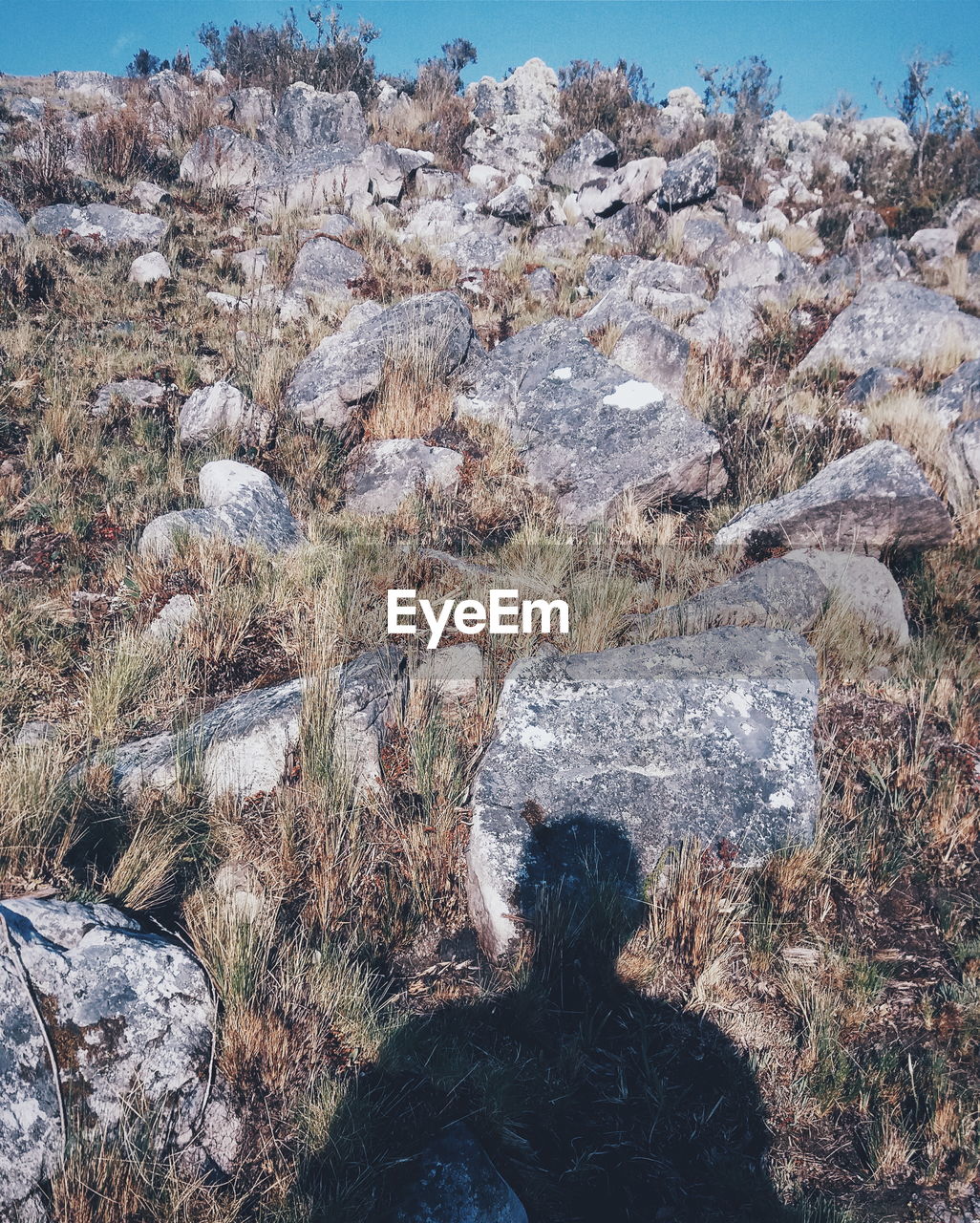 SHADOW ON ROCK IN LANDSCAPE