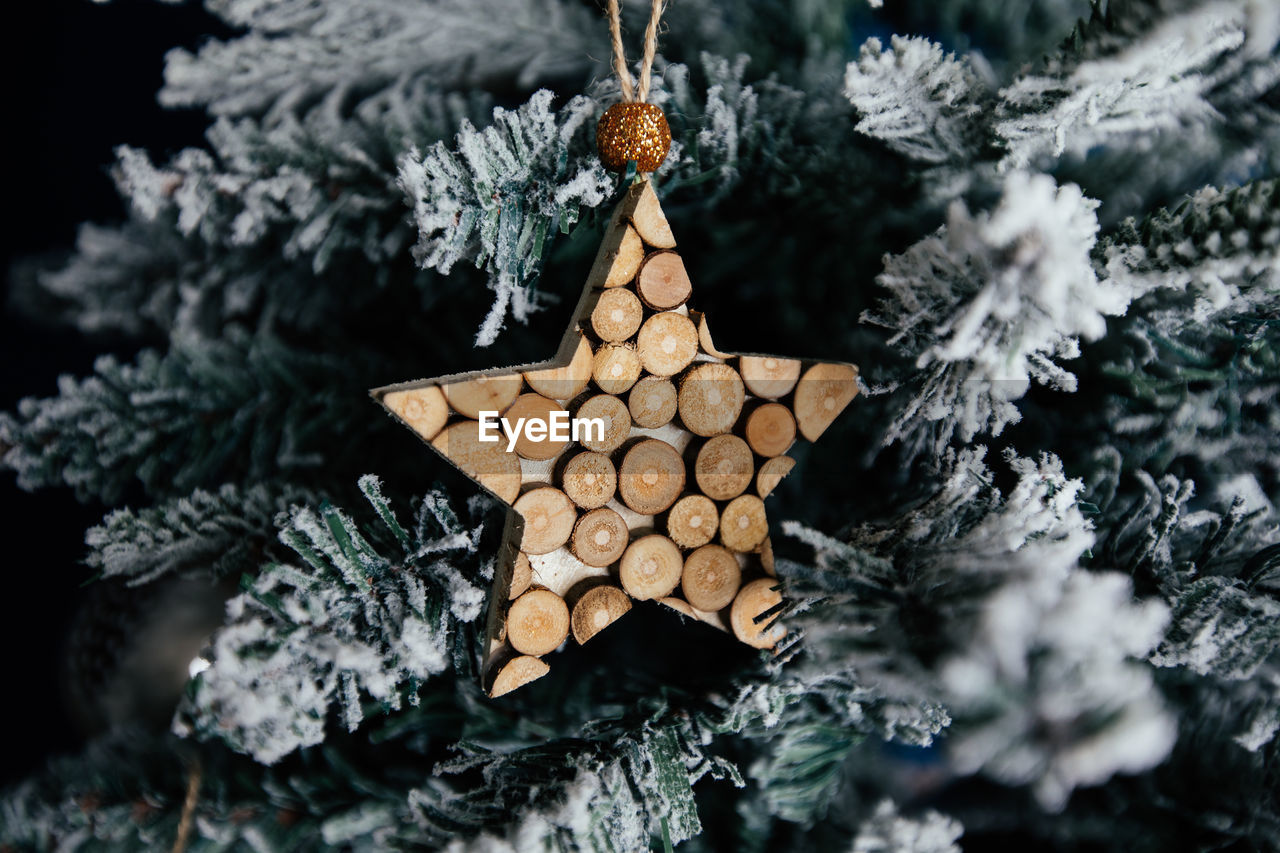 CLOSE-UP OF CHRISTMAS TREE IN WINTER