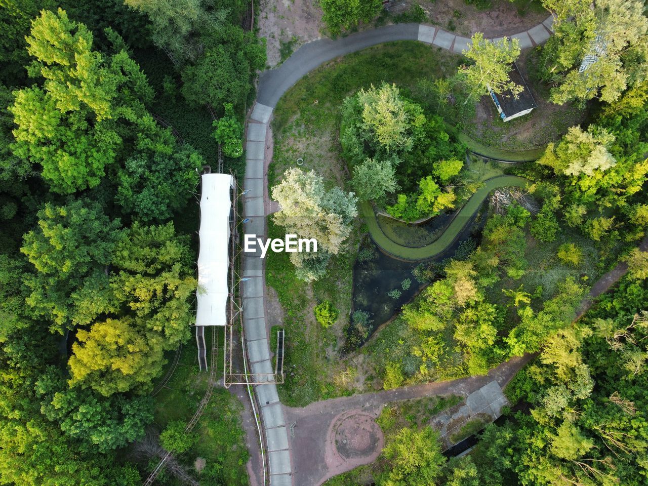 High angle view of road amidst trees