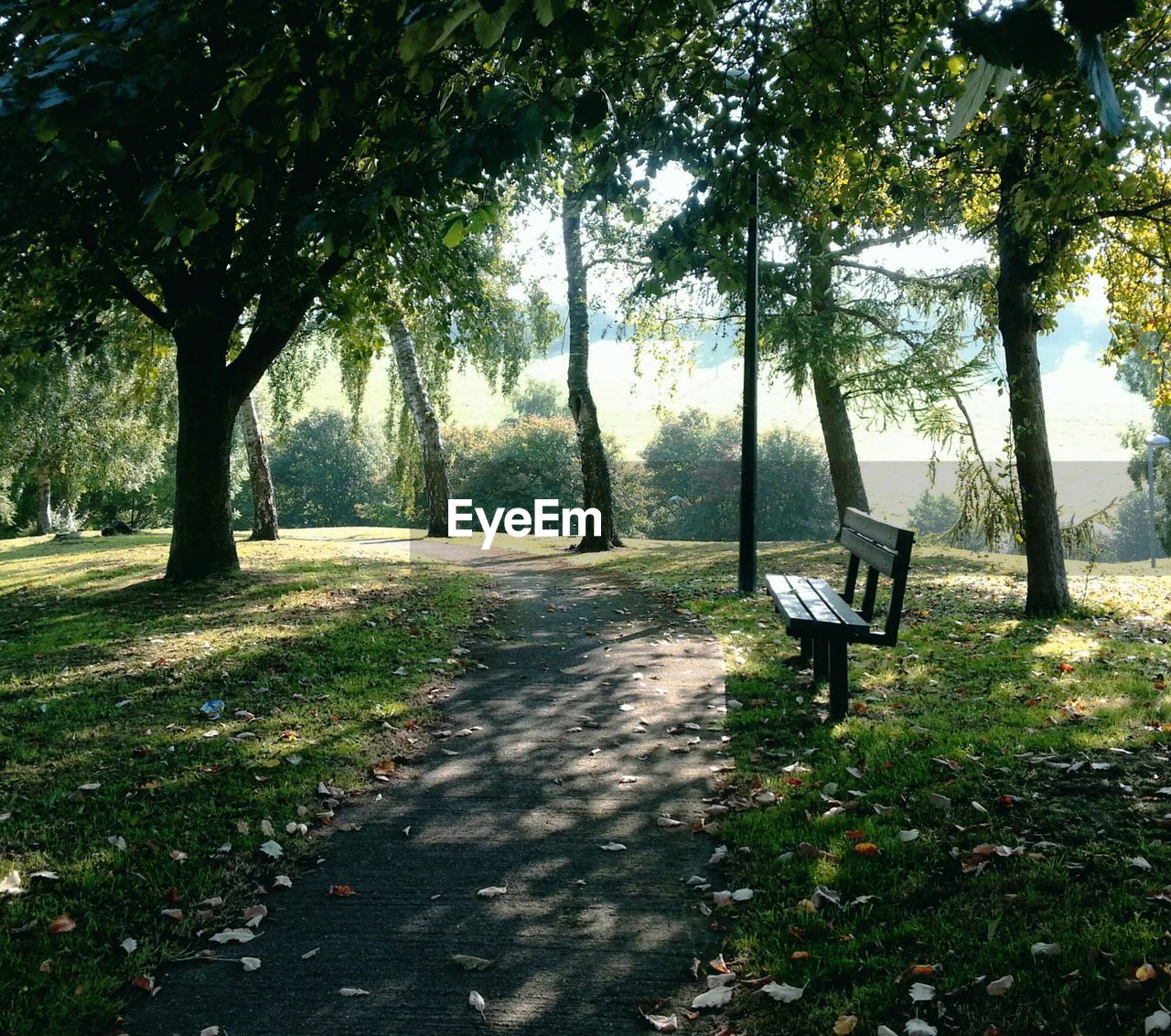 Empty bench by footpath at park