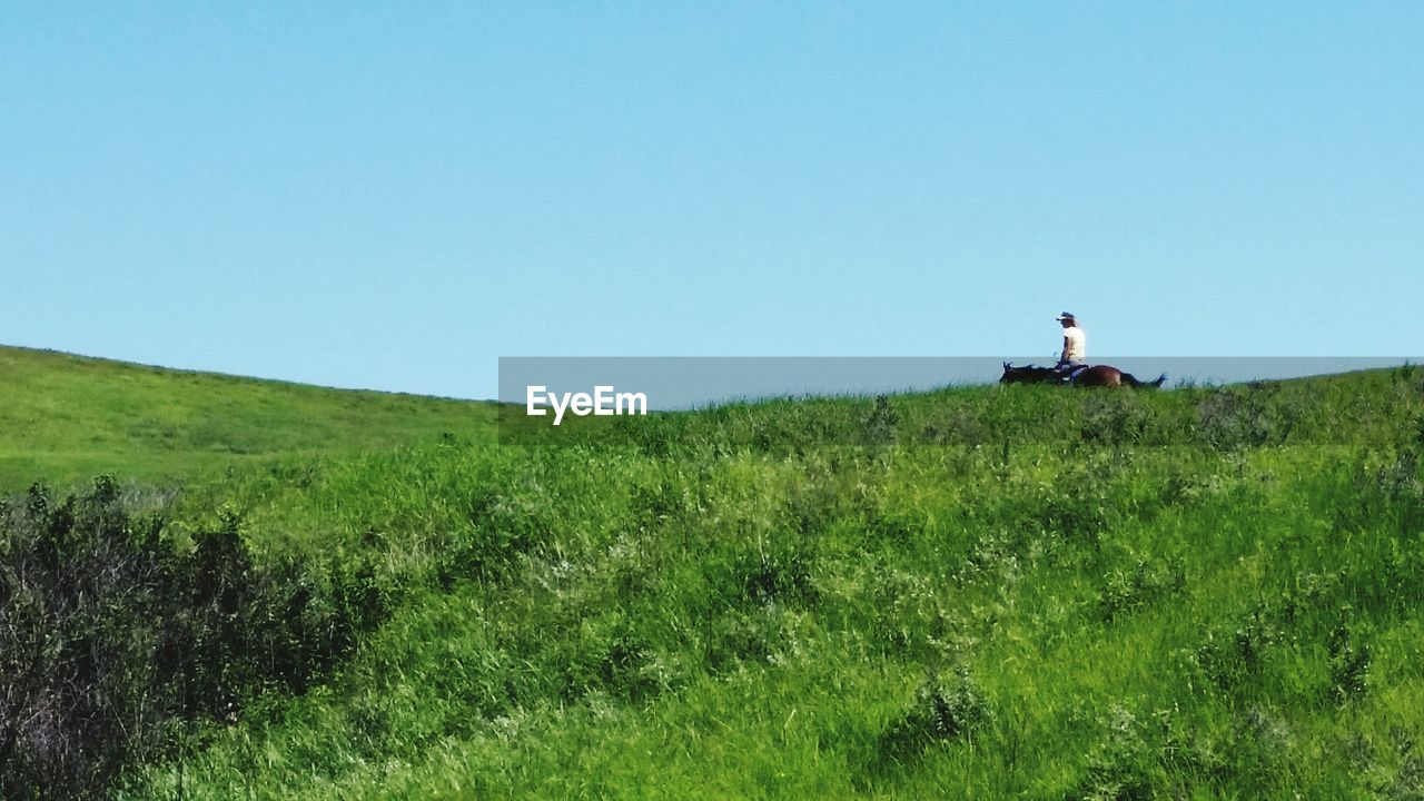 SCENIC VIEW OF GRASSY FIELD AGAINST CLOUDY SKY