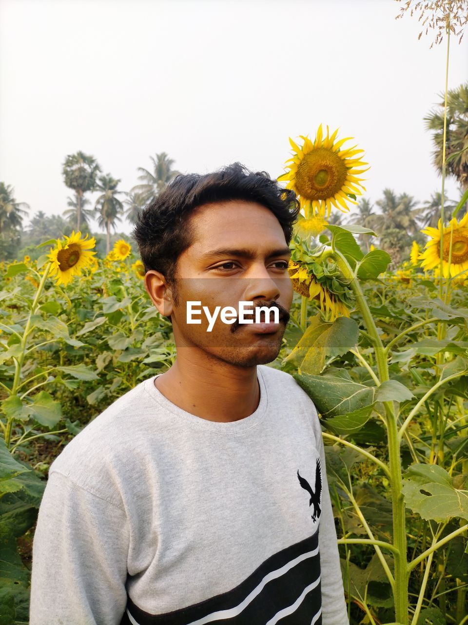 PORTRAIT OF YOUNG MAN WITH SUNFLOWER AGAINST YELLOW AND PLANTS