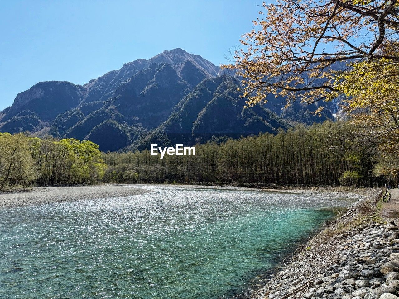 tree, mountain, scenics - nature, beauty in nature, plant, water, nature, sky, lake, landscape, environment, wilderness, pinaceae, forest, land, pine tree, tranquil scene, tranquility, coniferous tree, body of water, no people, pine woodland, mountain range, blue, travel destinations, travel, non-urban scene, day, outdoors, clear sky, idyllic, tourism, reservoir, autumn, sunny