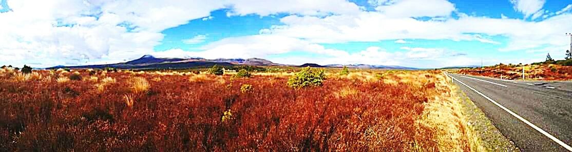 SCENIC VIEW OF RURAL LANDSCAPE