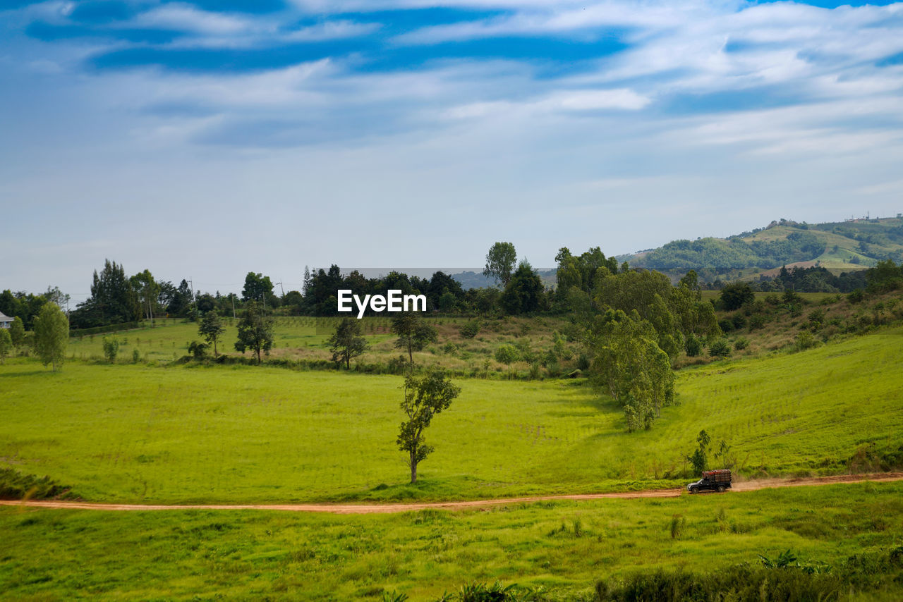 Scenic view of trees on field against sky