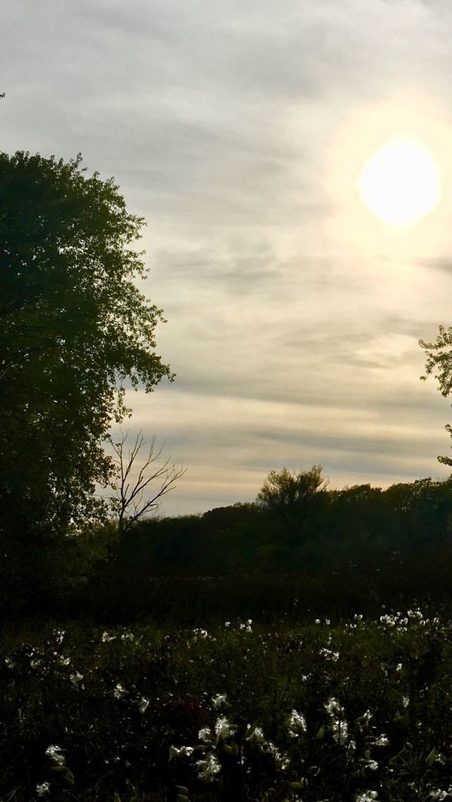 SCENIC VIEW OF GREEN LANDSCAPE AGAINST SKY