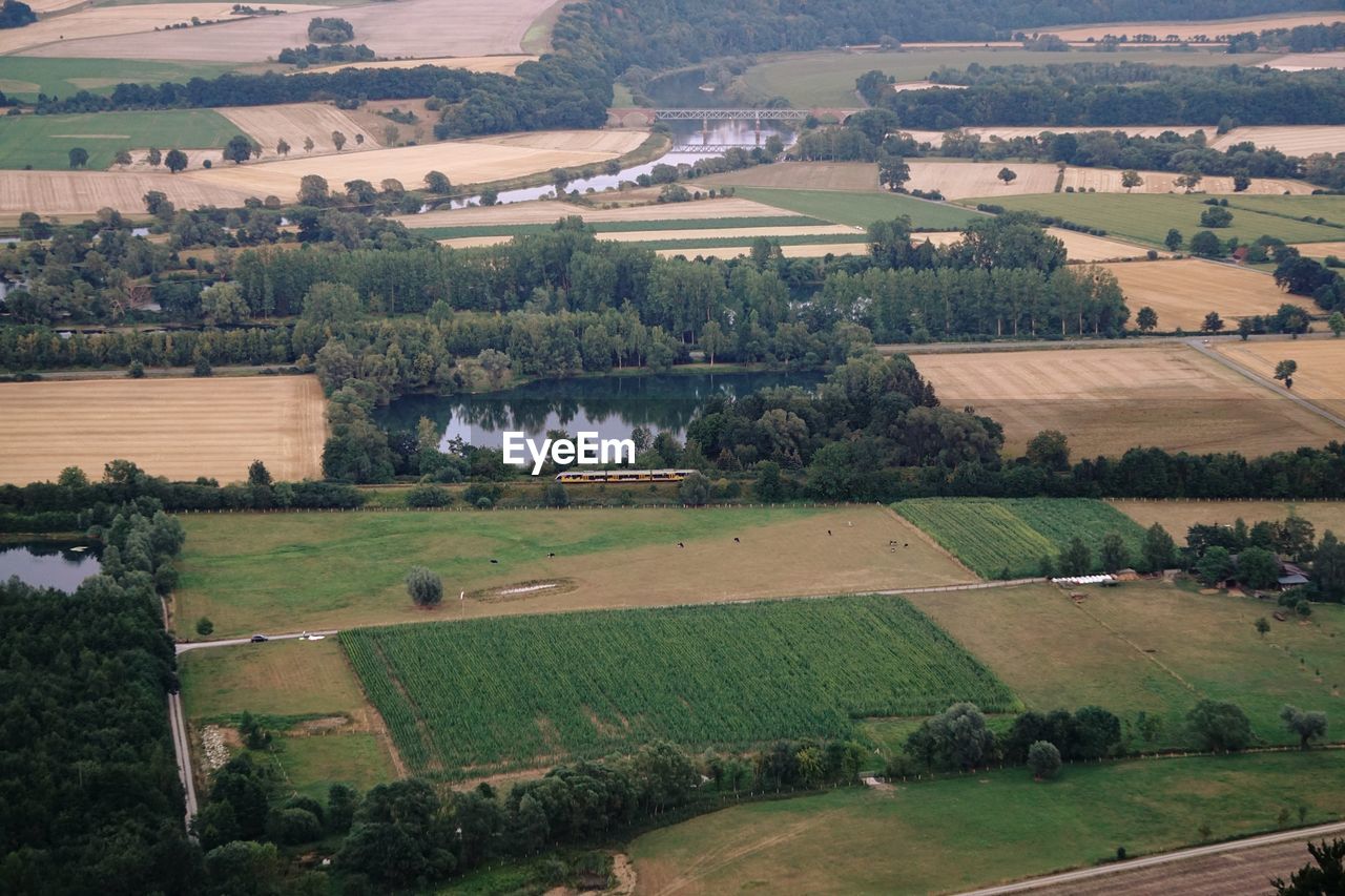 HIGH ANGLE VIEW OF FARM