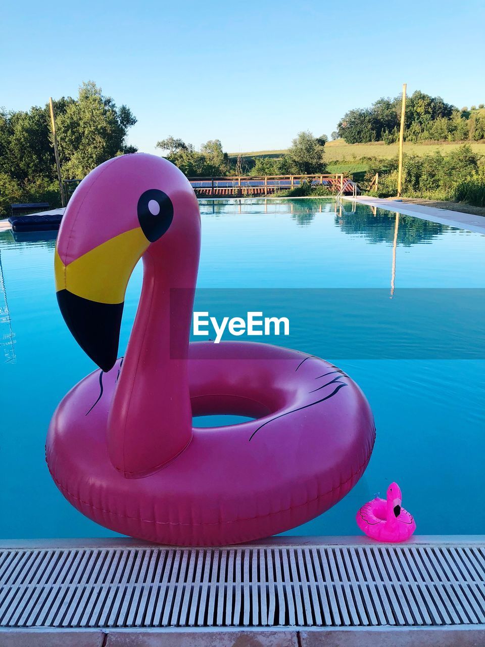 View of swimming pool and flamingos against sky