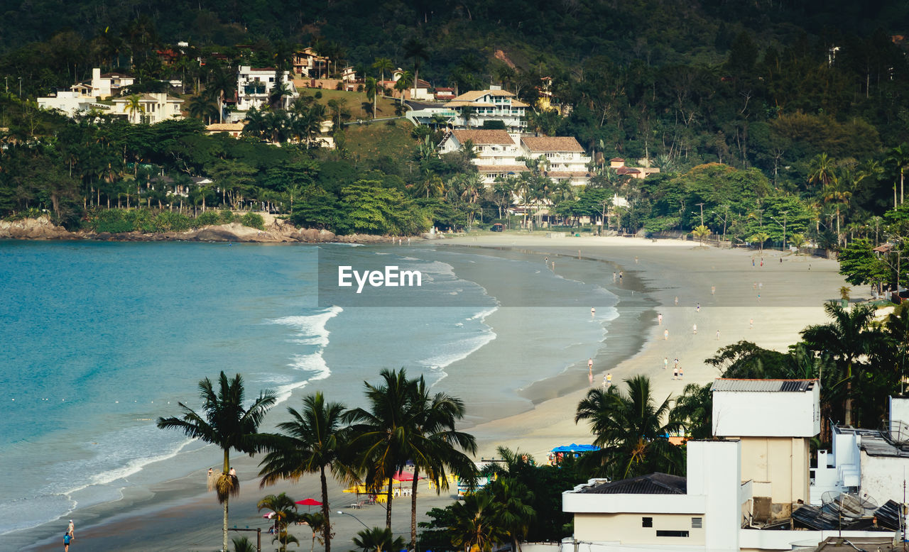 HIGH ANGLE VIEW OF PALM TREES ON BEACH