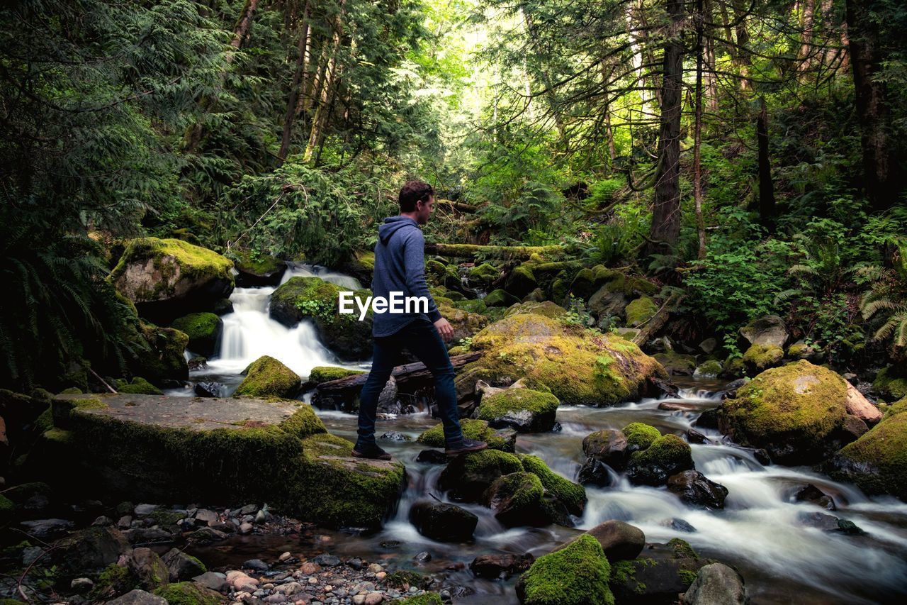 Man sitting on rock in forest