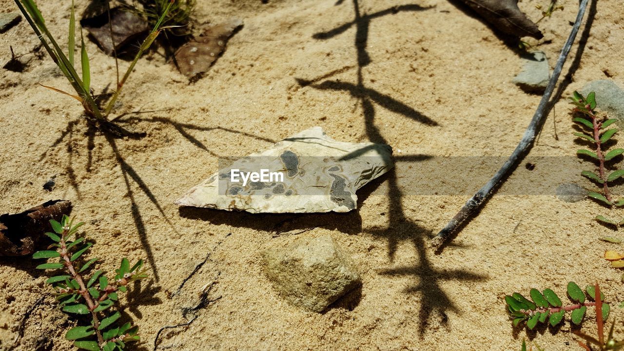 High angle view of shadow on sand with artifact 