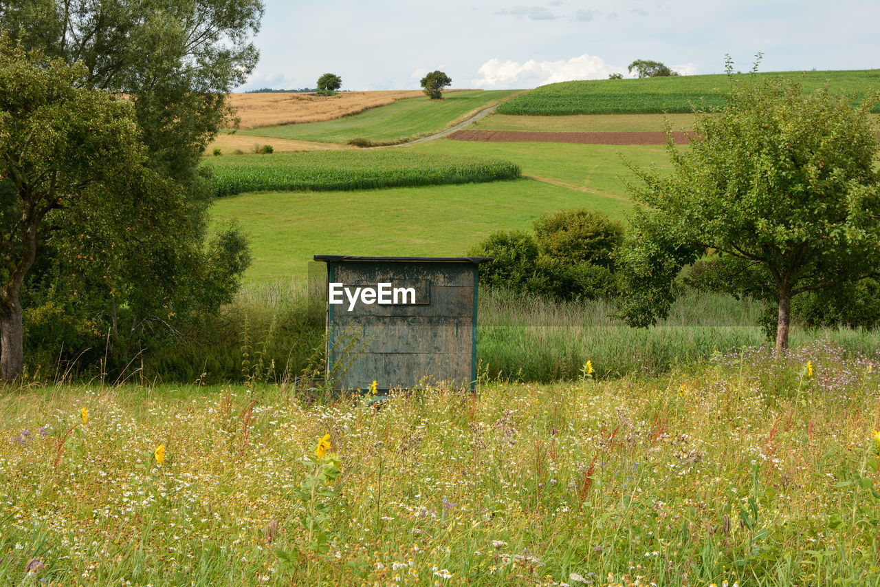 A wooden beehive stands in a high flower meadow in front of a green landscape with fields