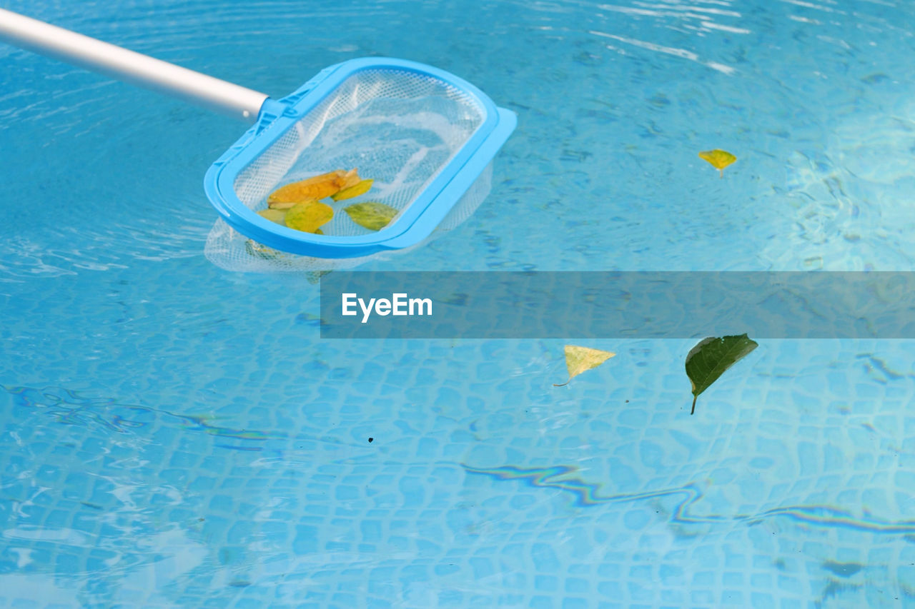 high angle view of ice cream in swimming pool