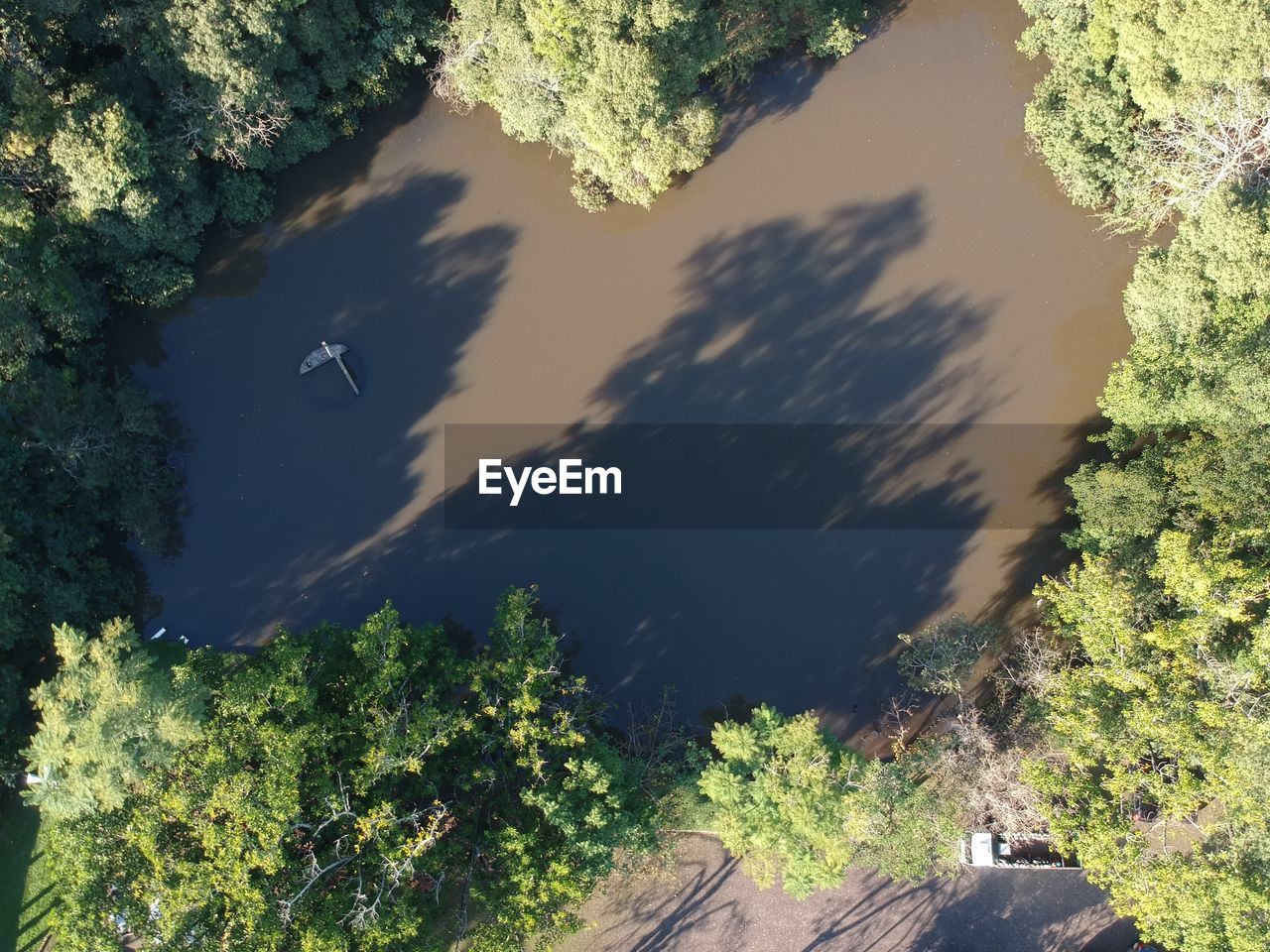 HIGH ANGLE VIEW OF TREES BY ROAD