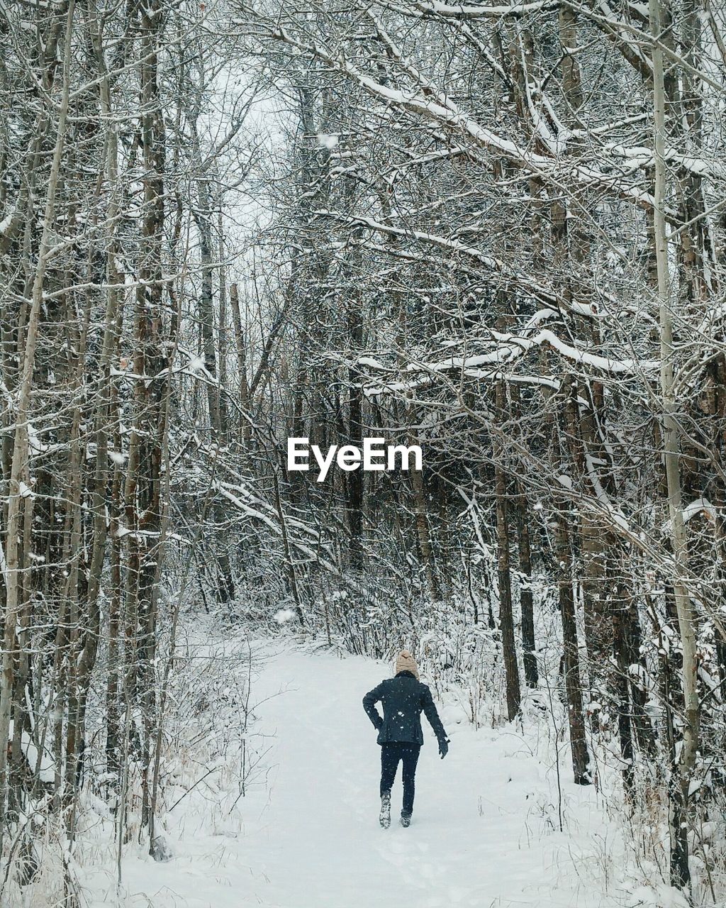 Rear view of man walking amidst bare trees on snow covered landscape