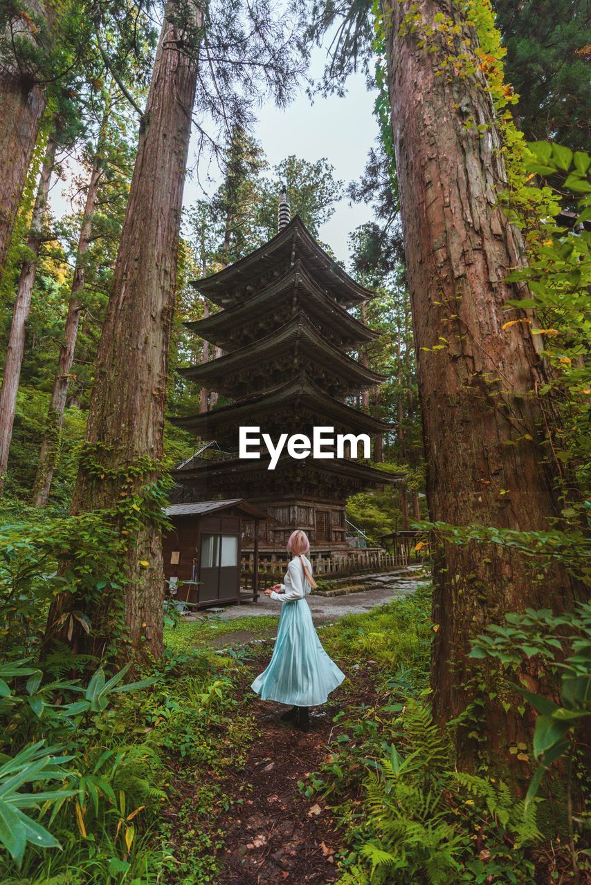 Woman standing by tree trunk in forest