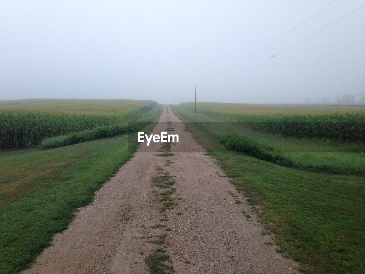 DIRT ROAD AMIDST FIELD AGAINST SKY