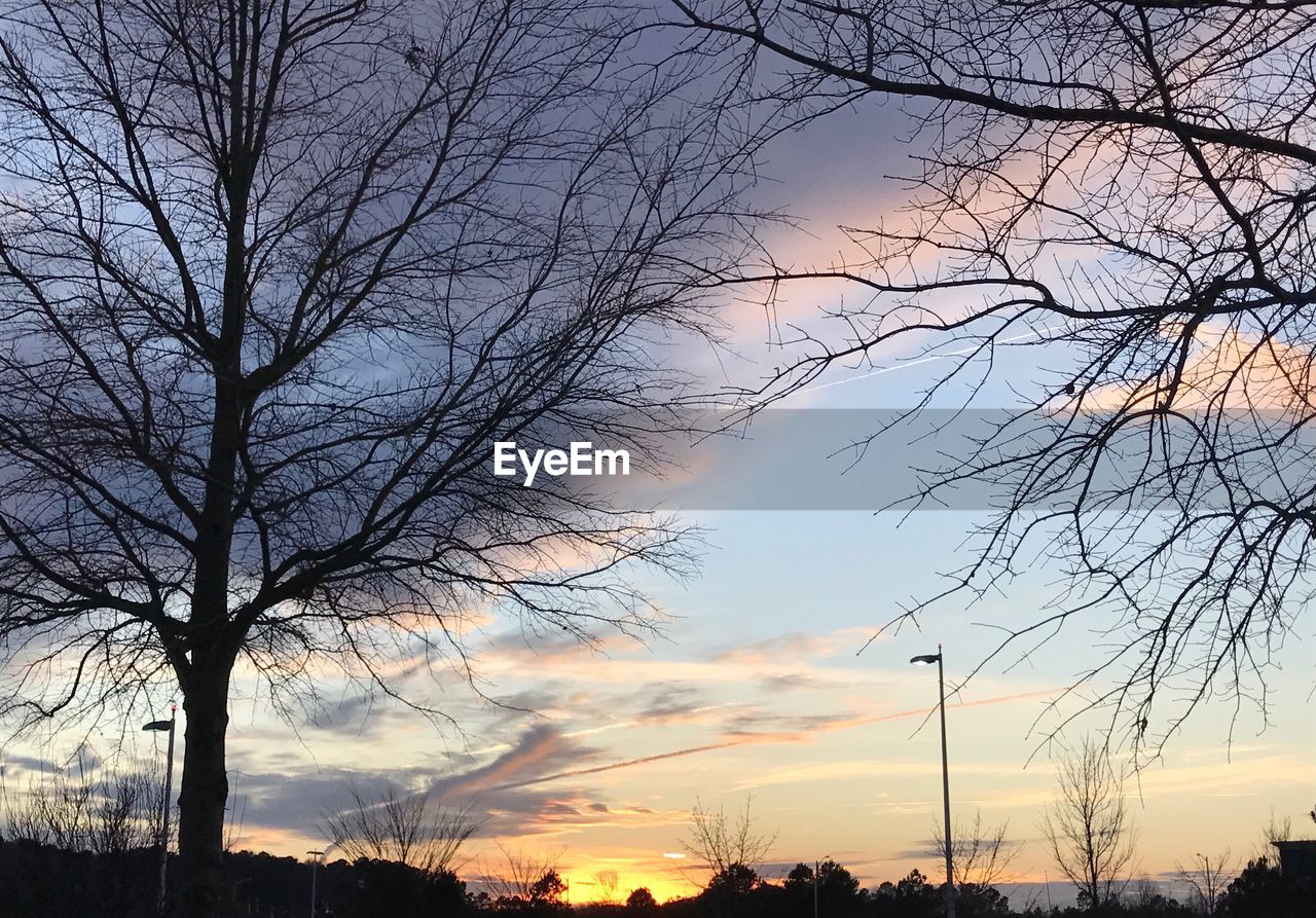 LOW ANGLE VIEW OF SILHOUETTE BARE TREE AGAINST SKY