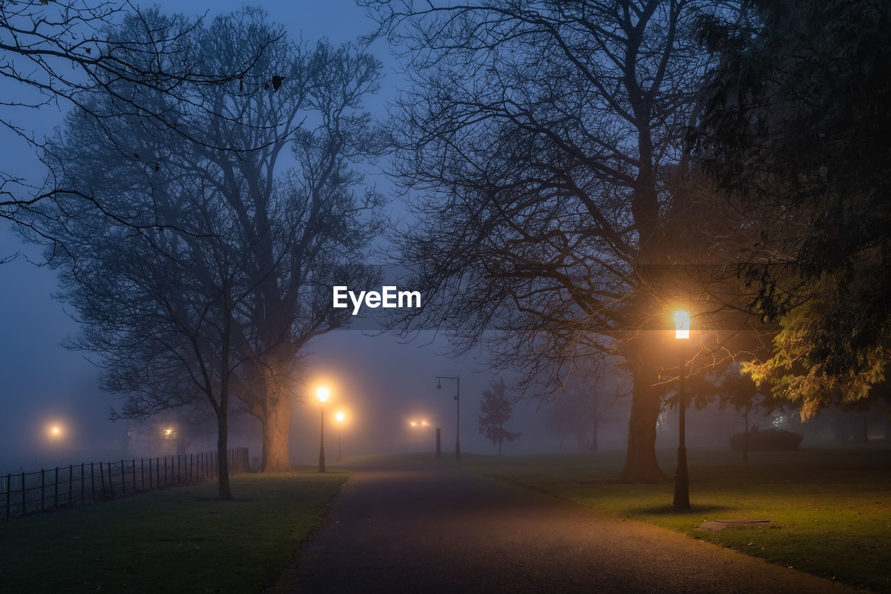 morning, tree, fog, illuminated, sunlight, plant, light, dawn, street light, street, bare tree, nature, mist, darkness, lighting equipment, sky, road, no people, city, transportation, sunrise, footpath, tranquility, beauty in nature, the way forward, winter, outdoors, snow, environment, park, twilight, branch, light - natural phenomenon, park - man made space, architecture, diminishing perspective, lighting, silhouette