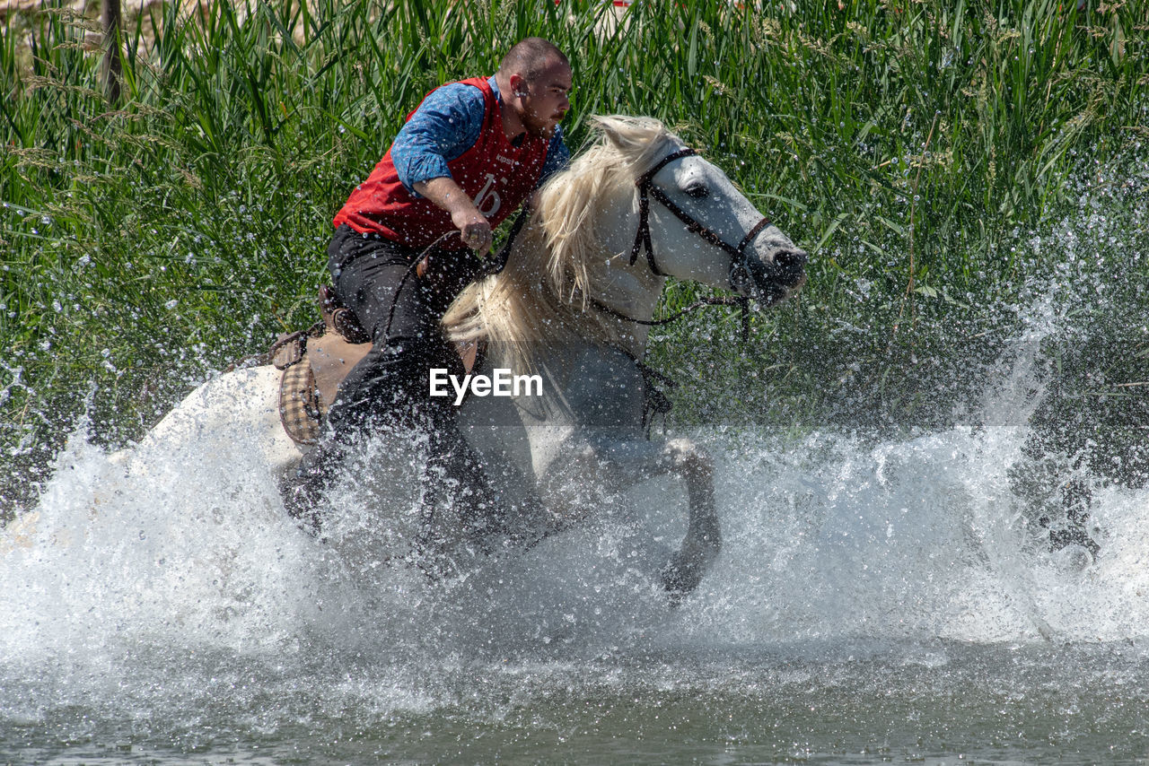 MAN RIDING A DOG IN A WATER